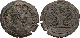 ÄGYPTEN ALEXANDRIA
Traianus, 98-117 n. Chr. AE-Drachme 113/114 n. Chr. (= Jahr 17) Vs.: Büste mit drapierter linker Schulter und Lorbeer-Ähren-Kranz ...