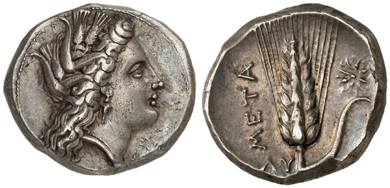 LUCANIA. Metapontum. Circa 330-290 BC. Didrachm or nomos (Silver, 21 mm, 7.77 g,...