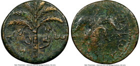 JUDAEA. Bar Kokhba Revolt (AD 132-135). AE middle bronze (25mm, 8.99 gm, 7h). NGC Choice VF 4/5- 3/5. Undated issue of Year 3 (AD 134/5). Simon (Paleo...