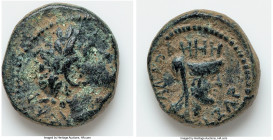 DECAPOLIS. Gadara. Titus (AD 79-81). AE (15mm, 3.83 gm, 11h). VG. Dated Regnal Year 137 (AD 73/4). ΤΙΤΟΣ ΚΑΙΣΑΡ, laureate head of Titus right / ΓΑΔΑΡΑ...