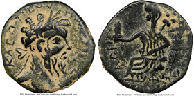 DECAPOLIS. Petra. Septimius Severus (AD 193-211). AE (23mm, 7.47 gm, 12h). NGC VF 4/5 - 4/5. ΑΥ Κ Λ CΠΤ-COY ΠЄP CЄBA, laureate head of Septimius Sever...