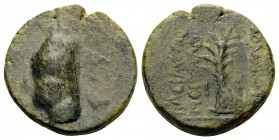 KINGS OF ARMENIA. Tigranes II ‘the Great’, 95-56 BC. Dichalkon (Bronze, 16.5 mm, 3.35 g, 12 h), period I, Nisibis mint, year 6 = 91/90 BC. Diademed he...