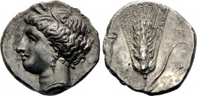 LUCANIA. Metapontum. Circa 340-330 BC. Nomos or Didrachm (Silver, 22 mm, 7.72 g, 4 h), c. 340-335. Head of Demeter to left, wearing a barley wreath, a...