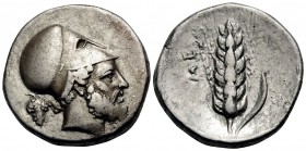 LUCANIA. Metapontum. Circa 400-340 BC. Nomos or Didrachm (Silver, 22 mm, 7.62 g, 10 h). Bearded head of Leukippos to right, wearing Corinthian helmet;...