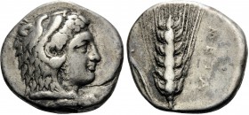 LUCANIA. Metapontum. Circa 340-330 BC. Nomos or Didrachm (Silver, 21 mm, 7.72 g, 4 h), c. 335-330. Head of Herakles to right, wearing lion's skin head...