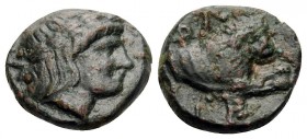 MACEDON. Phagres. Circa 400-350 BC. Chalkous (Bronze, 11 mm, 1.37 g). Laureate head of Apollo to right. Rev. ΦAΓP Forepart of a lion to right. Liampi,...