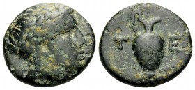 MACEDON. Terone. Circa 400-348 BC. Chalkous (Bronze, 12.5 mm, 2.00 g, 1 h). Laureate head of Apollo to right. Rev. T E Oinochoe to left. Hardwick 23. ...
