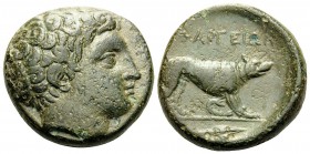 AKARNANIA. Argos Amphilochikon. Circa 330-300 BC. Hemiobol (Bronze, 17 mm, 6.38 g, 7 h). Head of Hermes to right. Rev. APΓEIΩN Dog standing to right; ...
