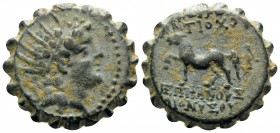 SELEUKID KINGS OF SYRIA. Antiochos VI Dionysos, 144-142 BC. Serrate (Bronze, 15.5 mm, 3.28 g, 1 h), Ptolemaïs (Ake) mint(?). Radiate and diademed head...