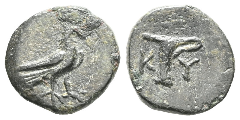 Greek
Aeolis, Kyme, AE,(Bronze), Circa 350-250 BC. 
Obv: Eagle standing right....