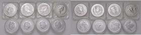 Australia - Insieme di 8 monete da 1 Dollaro 1991, 1992, 1993, 1994, 2013, 2015, 2016, 2018 Kookaburra.

 

Come da foto