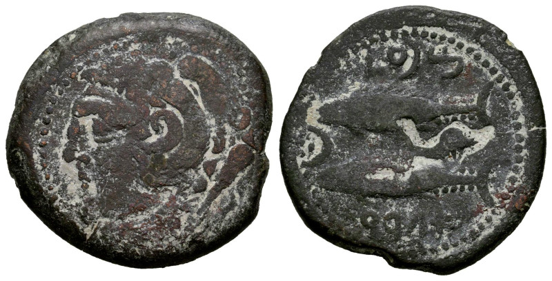 Gades-Gadir. Unit. 100-20 BC. Cadiz. (Abh-1339). (Acip-665). Anv.: Head of Hercu...