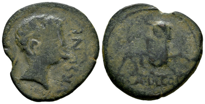 Ursone. Unit. 50 BC. Osuna (Sevilla). (Abh-2499). (MIB-204/03c). (Acip-2326). An...