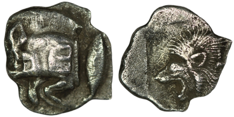 MYSIA. Kyzikos. (450-400 BC)
AR Obol (12mm, 0,70g)