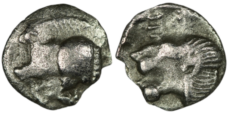 MYSIA. Kyzikos. (450-400 BC)
AR Hemiobol (9mm, 0,39g)