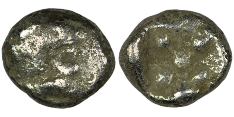 IONIA. Miletos. (Late 6th-early 5th centuries BC).
AR Diobol (10mm, 1,02g)