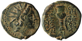 SELEUKID KINGS of SYRIA. Antiochos VI Dionysos (144-142 BC). Apameia
AE Bronze (18mm, 5,43g)