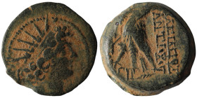 SELEUKID KINGS of SYRIA. Antiochos VIII Epiphanes (Grypos), (121/0-97/6 BC). Antioch on the Orontes
AE Bronze (20mm, 5,36g)

Artificial sandpatina