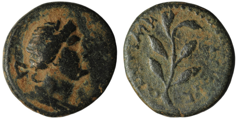 SYRIA. Seleucis and Pieria. Antioch. Pseudo-autonomous issue. (Circa 1st century...