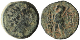 SELEUKID KINGS of SYRIA. Antiochos VIII Epiphanes (Grypos), (121/0-97/6 BC). Antioch on the Orontes
AE Bronze (18mm, 5,58g)