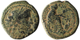 SYRIA. Seleucis and Pieria. Antioch. Pseudo-autonomous issue, time of Augustus (27 BC- AD 14)
AE Bronze (19mm, 6,81g)