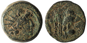 SELEUKID KINGS of SYRIA. Cleopatra Thea and Antiochos VIII (125-121 BC). Antioch on the Orontes
AE Bronze (18mm, 6,65g)