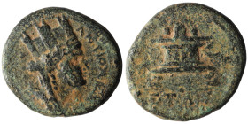 SYRIA. Seleucis and Pieria. Antioch. Pseudo-autonomous issue. (Circa 1st century AD)
AE Bronze (20mm, 5,68g)