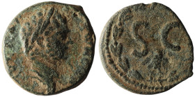 SYRIA, Seleucis and Pieria. Antioch. Caracalla (AD 198-217)
AE Bronze (23mm, 7,53g)