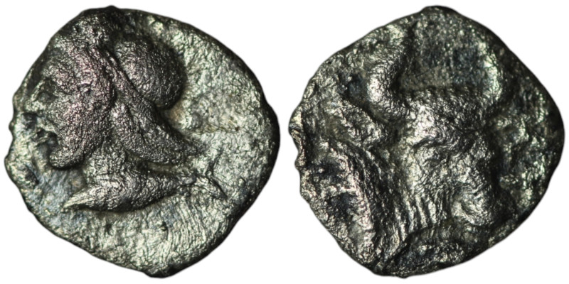 MYSIA. Kyzikos. (450-400 BC)
AR Hemiobol (8mm, 0,30g)