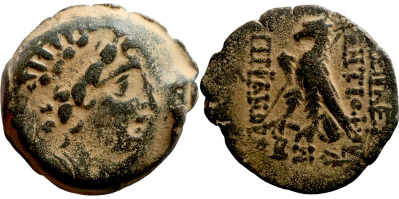 SELEUKID KINGS of SYRIA. Antioch mint. Antiochos VIII Epiphanes Grypos (121-97 B...