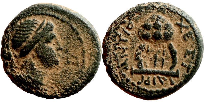 Syria. Antioch. Pseudoantonymous (time of Nero, year 111 – 62/63 AD). AE bronze....