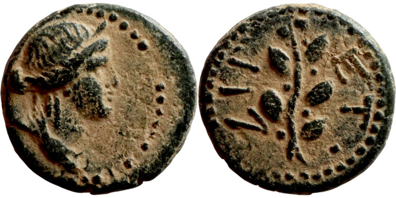 SYRIA. Antioch. Pseudoantonymous (time of Galba or Otho, year 117 – 68/69 AD). A...