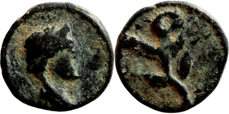 Roman provincial. 1st-3rd century AD. AE bronze

11mm 1,22g