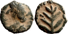 Vandals V- VI. Nummus. Africa Obverse: Diademed Bust. Reverse: palm tree

10mm 1,23g

Artificial sand patina