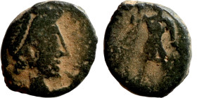 Germanic Tribes IV- V century. Nummus imitation. Obverse: Diademed Bust. Reverse: Standing Emperor

10mm 1,38g

Artificial sand patina