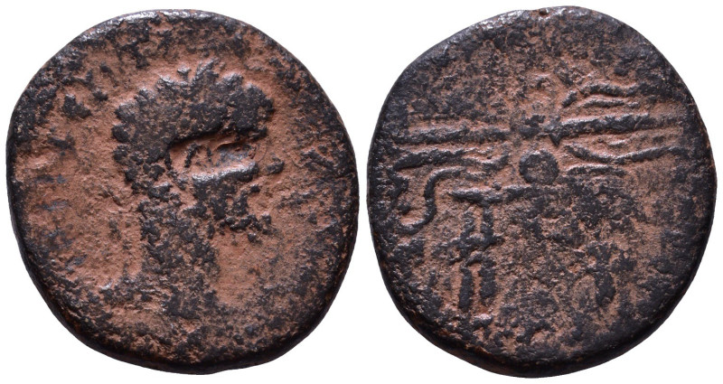 SYRIA, Seleucis and Pieria. Seleucia Pieria. Septimius Severus, 193-211 AD. Æ 22...