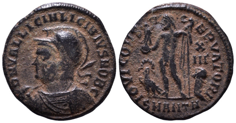 Licinius II, as Caesar, AD 317-324. Æ 18mm, 2,89g *Repatinated*