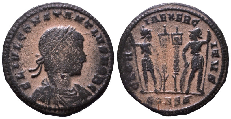 Constantius II, as Caesar, AD 324-337. Æ 18mm, 2,48g *Repatinated*