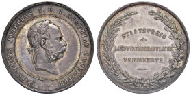 AUSTRIA. Francesco Giuseppe I (1848-1859) Medaglia Premio senza data, scritta tra rami di quercia e grano - Opus: J. Tautenhayn - AG (g 34,7 - Ø 40,5 ...