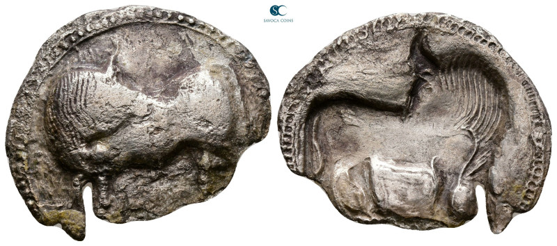 Lucania. Sybaris circa 530-510 BC. 
Stater AR

29 mm, 5,37 g



Good Fine