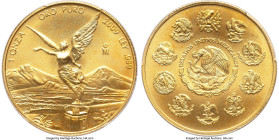 Estados Unidos gold Onza 2009-Mo MS70 PCGS, Mexico City mint, KM675. HID09801242017 © 2024 Heritage Auctions | All Rights Reserved