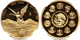 Estados Unidos gold Proof Onza 2011-Mo PR70 Ultra Cameo NGC, Mexico City mint, KM675. HID09801242017 © 2024 Heritage Auctions | All Rights Reserved