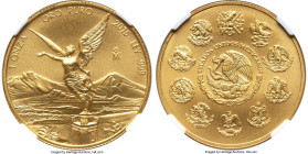 Estados Unidos gold Onza 2015-Mo MS70 NGC, Mexico City mint, KM675. Early Releases. HID09801242017 © 2024 Heritage Auctions | All Rights Reserved