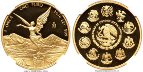 Estados Unidos gold Proof Onza 2016-Mo PR69 Ultra Cameo NGC, Mexico City mint. Mintage: 2,100. Scarce gold Libertad issue. HID09801242017 © 2024 Herit...