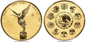 Estados Unidos gold Reverse Proof Onza 2018-Mo PR70 PCGS, Mexico City mint. First Strike. HID09801242017 © 2024 Heritage Auctions | All Rights Reserve...