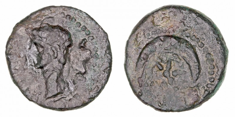 Monedas Antiguas
Norte de África
Ptolomeo
AE-17. AE. A/Cabeza diademada a izq...