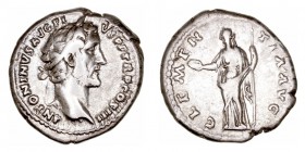 Imperio Romano
Antonino Pío
Denario. AR. (138-161). R/CLEMENTIA AVG. 3.03g. RIC.64. MBC.
