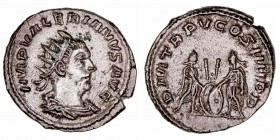 Imperio Romano
Valeriano I
Antoniniano. VE. Antioquía. (253-260). R/DIVI TR. P. V COS. IIII P.P. Valeriano y Galieno de frente entre escudos. 3.56g....