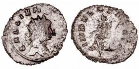 Imperio Romano
Galieno
Antoniniano. VE. Roma. (253-268). R/INDVLGENT. AVG. En exergo P. 3.07g. RIC.205. Escasa. MBC-.