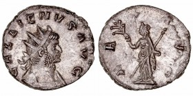 Imperio Romano
Galieno
Antoniniano. VE. Roma. (253-268). R/PAX AVG., a la izq. letra (T). 3.39g. RIC.256. Escasa así. EBC/EBC-.